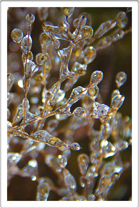 Austin Artist Photography