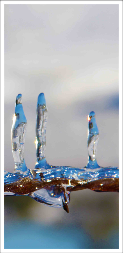 Austin Art Exhibitions