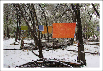 Austin Galleries